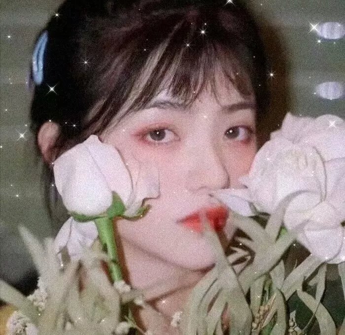 女巫一族封面