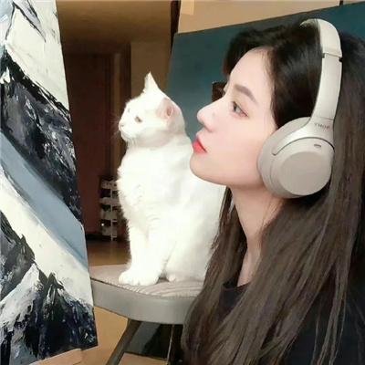 生逢灿烂的日子封面